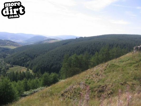 The Black Trail - Glentress