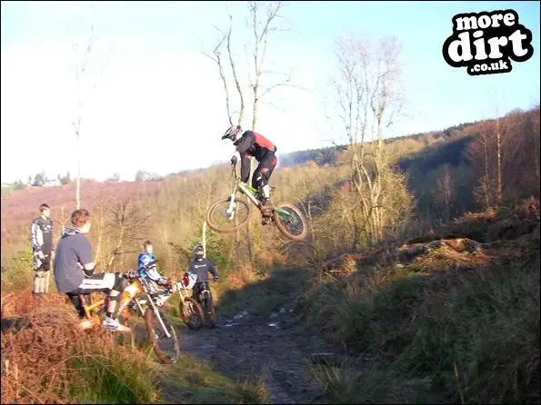 Wentwood Forest Downhill Trail