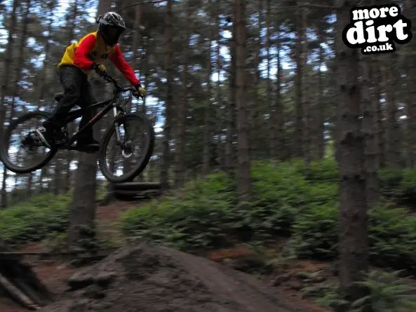 Kinver Freeride Park