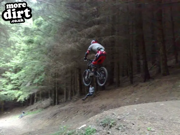 Innerleithen Mountain Bike Trails