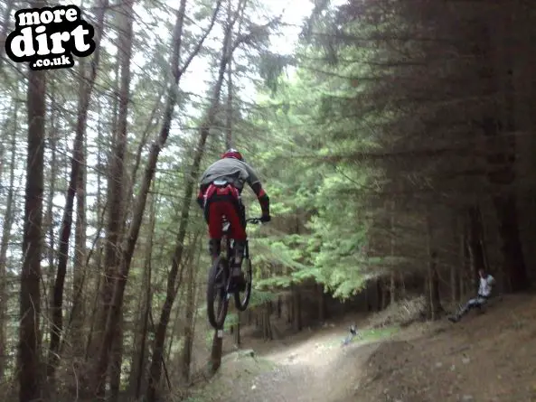 Innerleithen Mountain Bike Trails