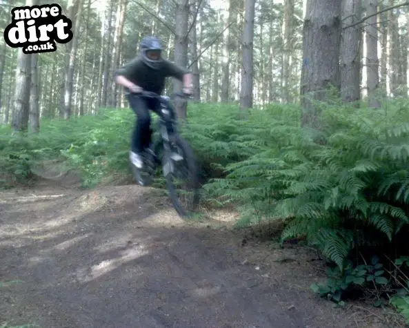 Kinver Freeride Park