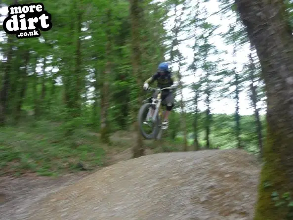 Raven Trail - Brechfa