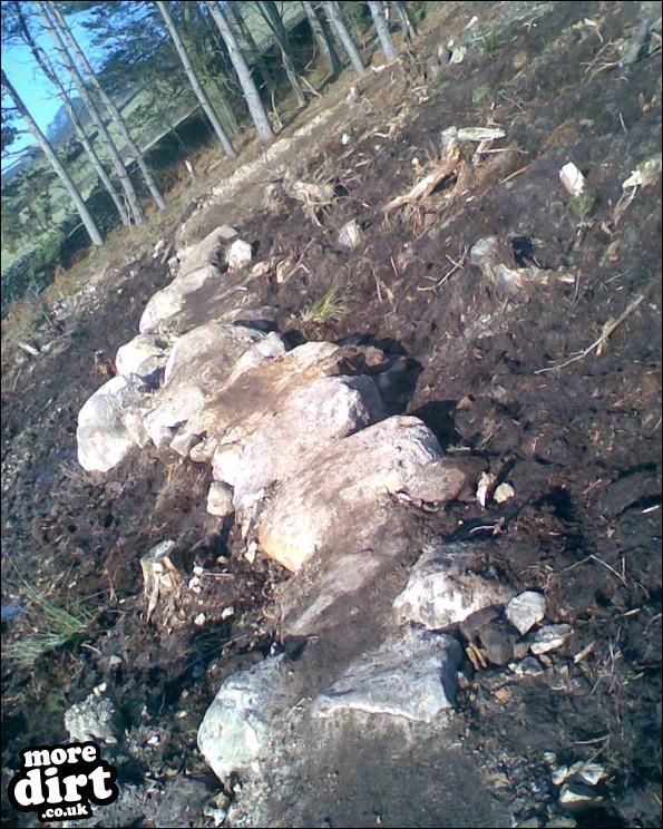 Descent Line Trail - Stainburn Forest