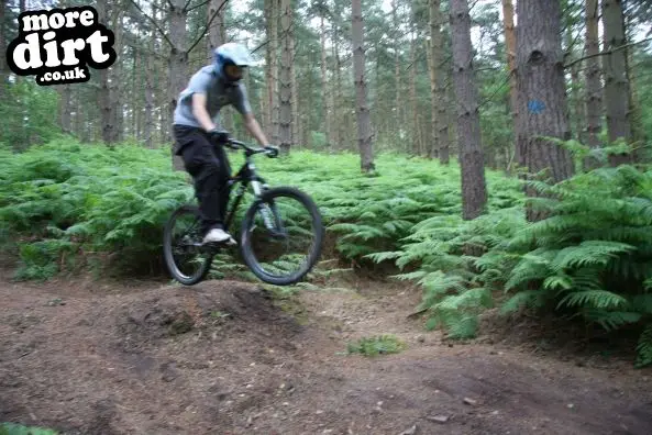 Kinver Freeride Park