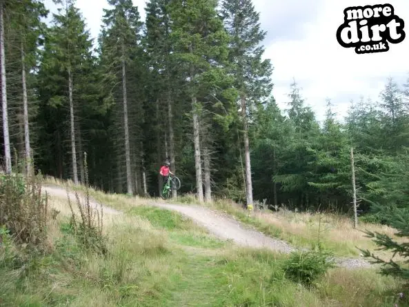 Freeride Park - Glentress