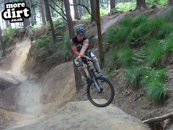 Swinley Forest Mountain Bike Centre