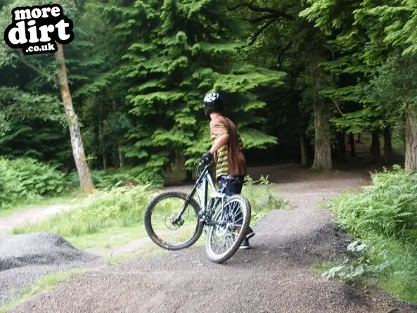 Downhill Trails - Forest of Dean