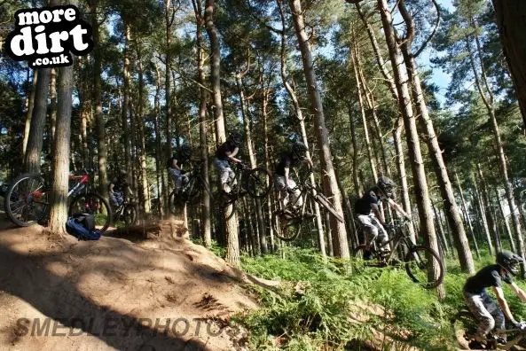 Delamere Forest Park