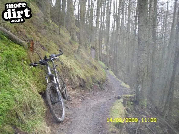 Penhydd Trail -  Afan Forest