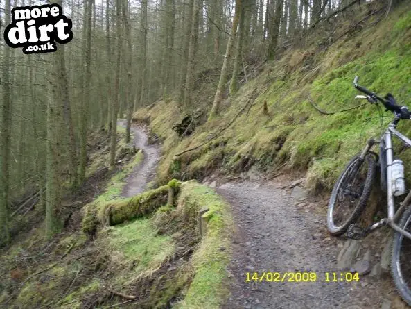 Penhydd Trail -  Afan Forest