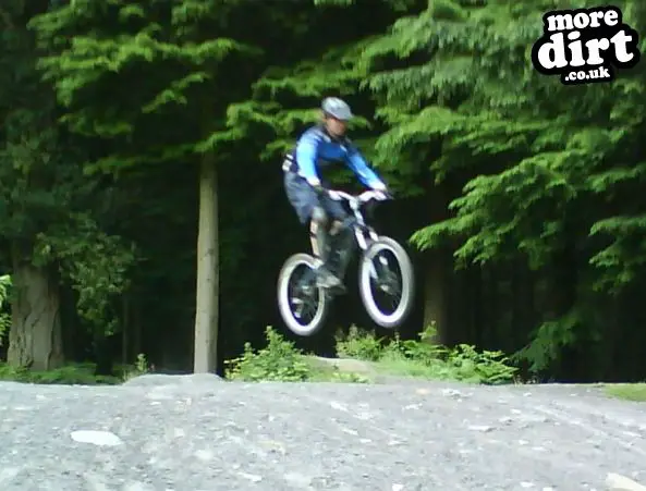 Downhill Trails - Forest of Dean