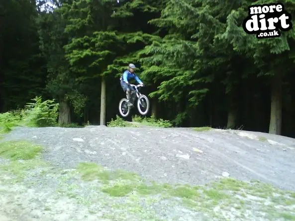 Downhill Trails - Forest of Dean