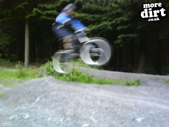 Downhill Trails - Forest of Dean