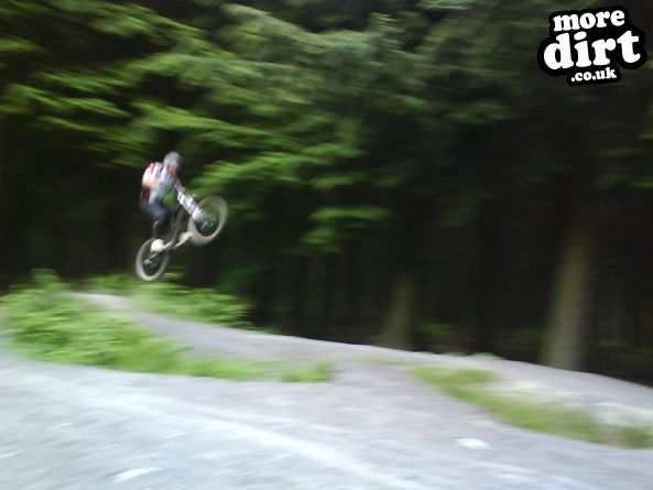 Downhill Trails - Forest of Dean