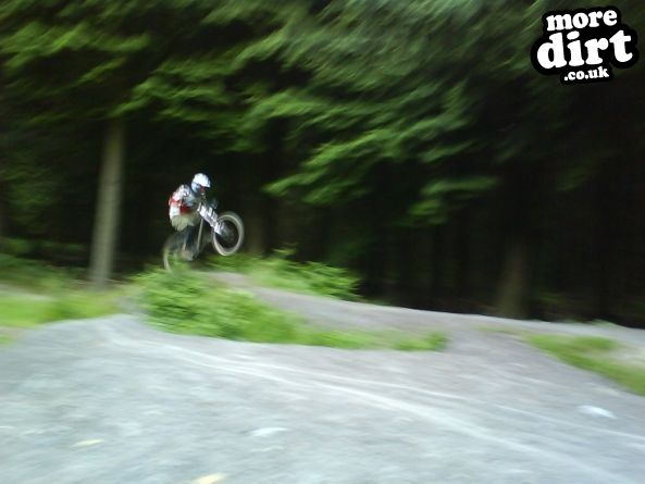 Downhill Trails - Forest of Dean