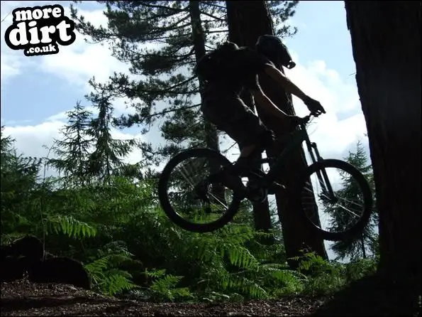 Stile Cop Bike Park