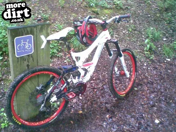 Queen Elizabeth Country Park Mountain Bike Trails