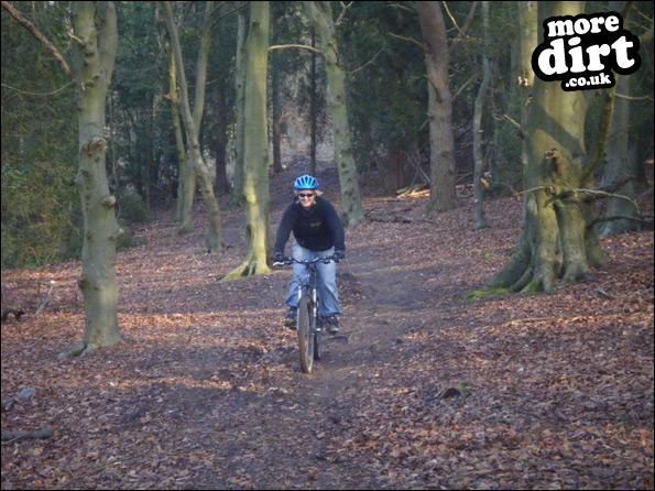 Queen Elizabeth Country Park Mountain Bike Trails