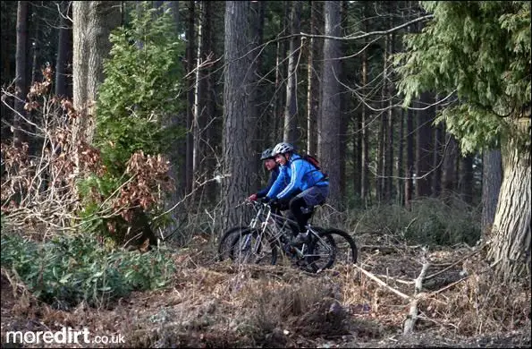 Bedgebury Forest Mountain Bike Trails