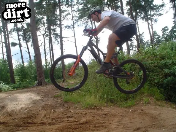 Lime Burner Trail - Thetford Forest