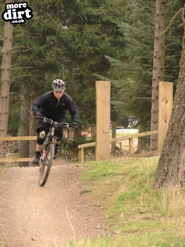 Freeride Park - Glentress