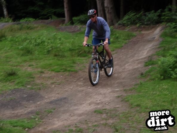 Downhill Trails - Forest of Dean