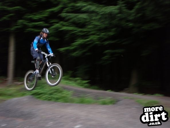 Downhill Trails - Forest of Dean