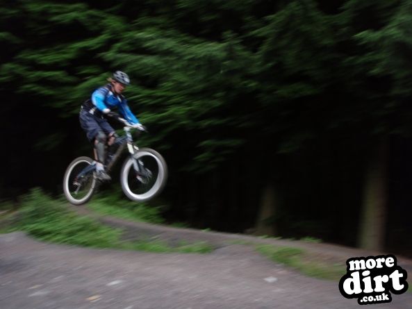 Downhill Trails - Forest of Dean