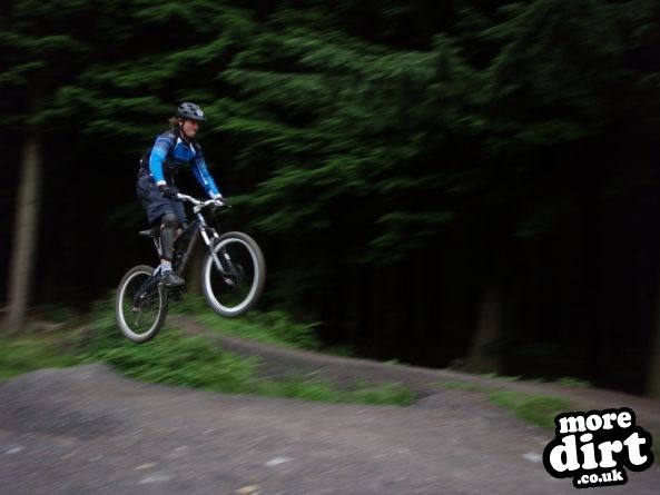 Downhill Trails - Forest of Dean