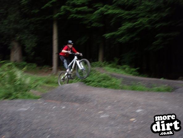 Downhill Trails - Forest of Dean