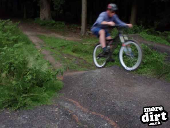 Downhill Trails - Forest of Dean