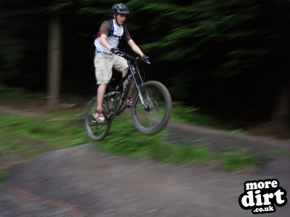 Downhill Trails - Forest of Dean