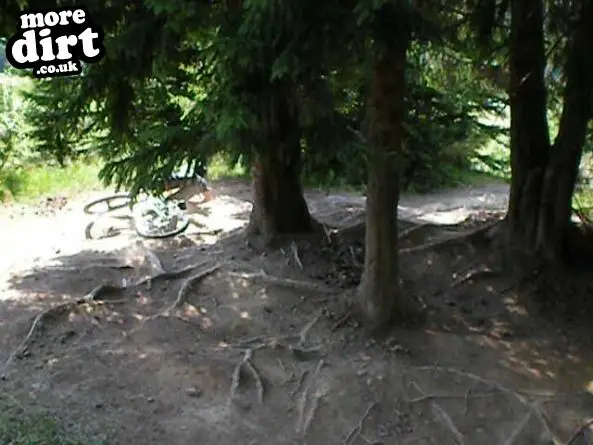 Les Gets Bike Park