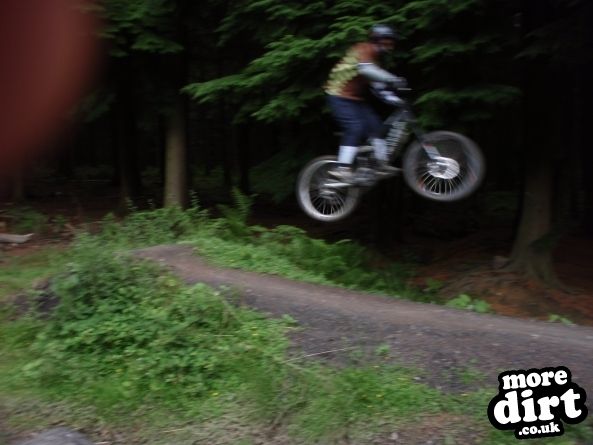 Downhill Trails - Forest of Dean