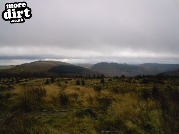 Freeride - Cwmcarn