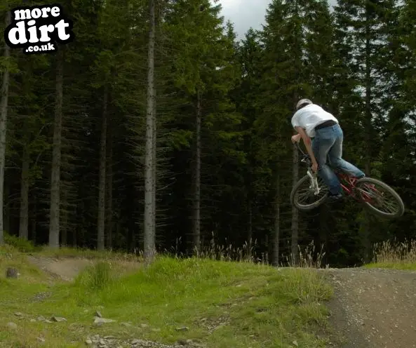 Freeride Park - Glentress