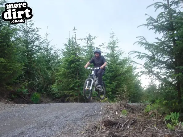 Hamsterley Forest Mountain Bike Trails