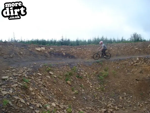 Hamsterley Forest Mountain Bike Trails