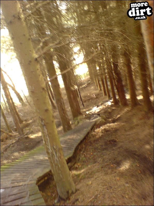 Warren Boulder Trail - Stainburn Forest