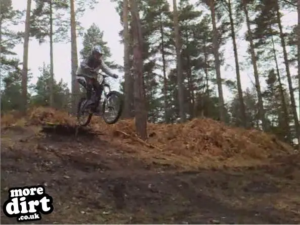 Swinley Forest Mountain Bike Centre