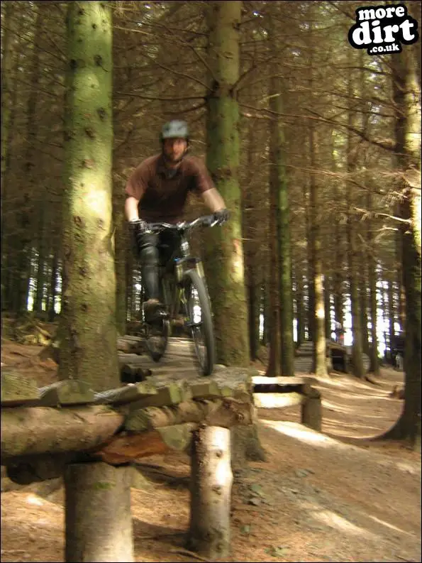 The Red Trail - Glentress