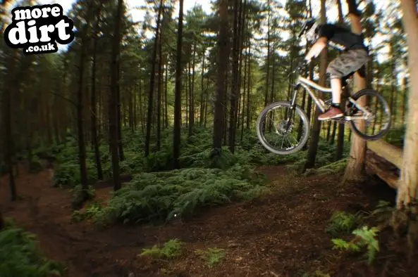 Kinver Freeride Park