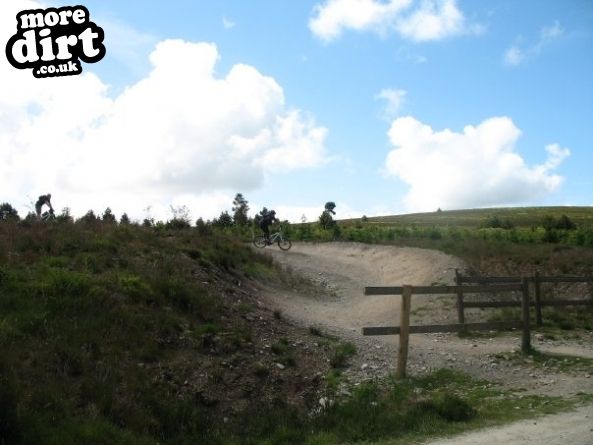 Red Trail - Coed Llandegla Forest