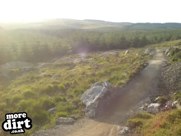 Gisburn Forest Mountain Bike Trails