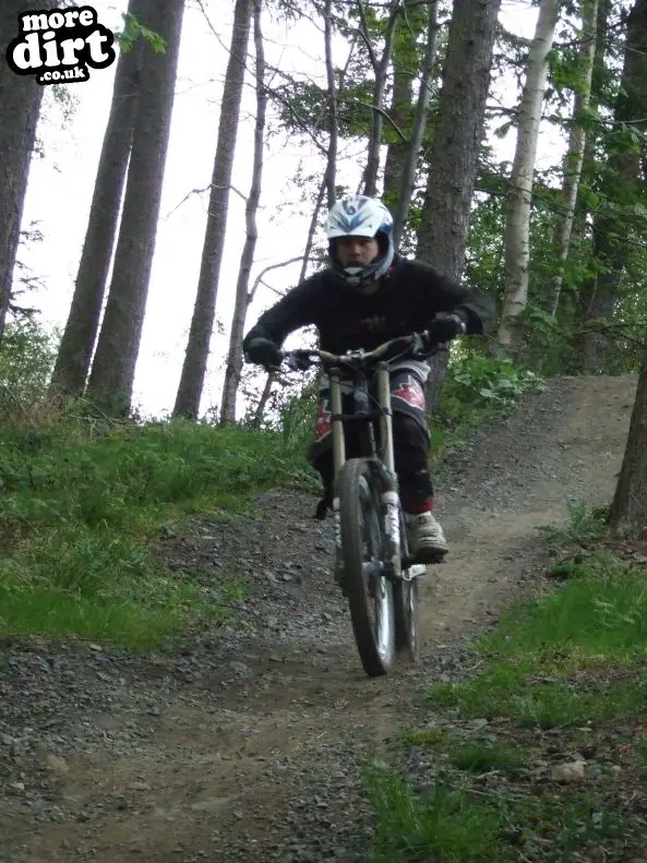 Powerline Trail - Chopwell