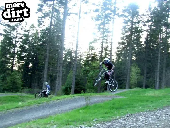 Freeride Park - Glentress