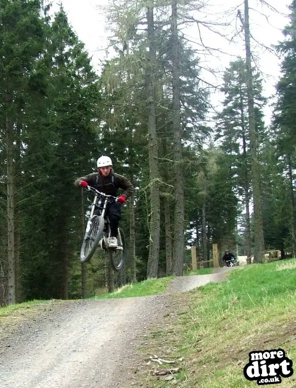 Freeride Park - Glentress