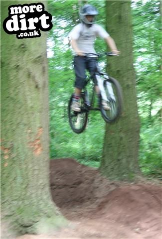 Downhill Trails - Forest of Dean