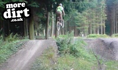 Downhill Trails - Forest of Dean